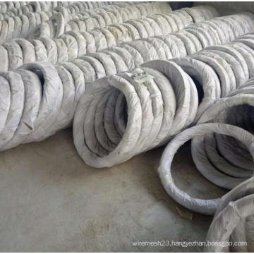 Hot Dipped Galvanized Welded Wire Mesh Roll